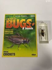 Real life bugs for sale  MOLD