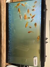 30 gallon fish tank for sale  Merritt Island