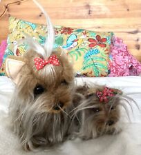 yorkshire terrier toy for sale  SWANAGE