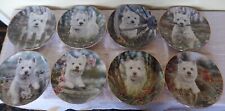 westie plates for sale  Germantown