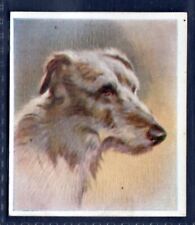Scottish deerhound original for sale  KEIGHLEY