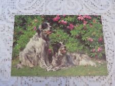 Postcard dog puppy for sale  BODMIN