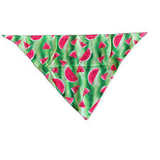 Watermelon print tie for sale  Minneapolis