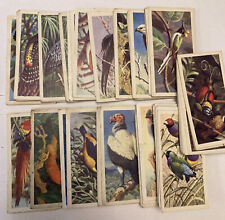 Usado, Cartões de chá Tropical Birds - Brooke Bond - Escolha seus cartões comprar usado  Enviando para Brazil