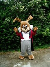 Ster hase maskottchen gebraucht kaufen  Michelstadt