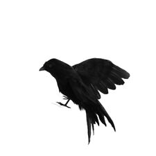 Halloween crow decor for sale  Shipping to Ireland