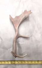 Natural real fallow for sale  USA