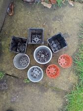 Outdoor plant pots for sale  RADSTOCK