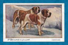 1920s bernard dogs for sale  KING'S LYNN