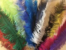 Large ostrich feathers for sale  Shipping to Ireland