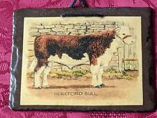 Slate hereford bull for sale  STOKE-ON-TRENT