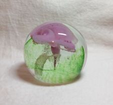 Caithness glass paperweight for sale  COALVILLE