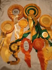 Used dog rosettes for sale  HEANOR