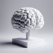 Cervello umano stampa usato  Marcianise