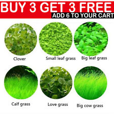 Aquarium plant seeds for sale  Shipping to Ireland