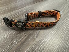 Burnt orange leopard for sale  DERBY