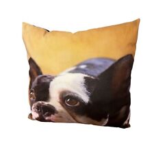 French bulldog 16x16x6 for sale  Booneville
