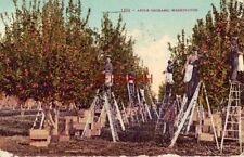 Apple orchard washington for sale  Schofield