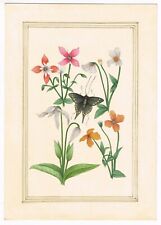 Handmade Indian Miniature Painting Of Beautiful Floral Flower And Moths On Paper for sale  Shipping to Canada