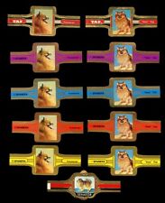 POMERANIAN POM POM TOY DOG ORIGINAL & GENUINE DUTCH CIGAR BANDS x 11 Spitz for sale  Shipping to South Africa