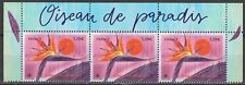 2024 tropical flower d'occasion  Lille-