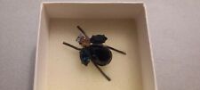 Bee brooch. for sale  EXMOUTH