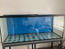 6ft fish tanks for sale  NOTTINGHAM
