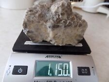 Partial hexagonaria colony for sale  Mio