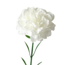 Silk artificial carnation for sale  UK