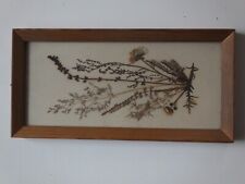 Blütenbild ddr herbarium gebraucht kaufen  Königstein