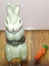 Tiny adorable bunny for sale  Bridgewater