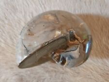 Nautilus ammonit 812 gebraucht kaufen  Bidingen