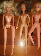 Barbie tanja bambole usato  Italia