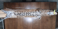 Bobcat fur pelt for sale  Andalusia