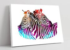 Rainbow abstract zebra for sale  LONDONDERRY