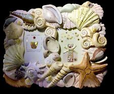 Seashell beach plaster for sale  Lansdowne