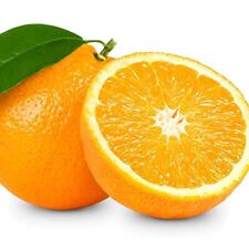Fruit seeds orange for sale  Denver