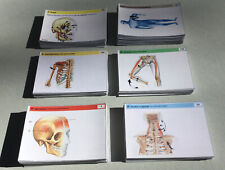 Lernkarten anatomie physiologi gebraucht kaufen  Iggingen