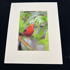 Hawaiian honeycreeper signed for sale  Snohomish