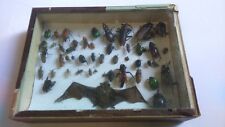 Old box insects. d'occasion  Fayence