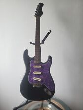 guitar project for sale  STANLEY