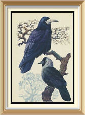 Original c1947 Antiguo CHARLES TUNNICLIFFE Litografía Arte Pájaro Impresión TORRE Y GRACKDAW segunda mano  Embacar hacia Mexico