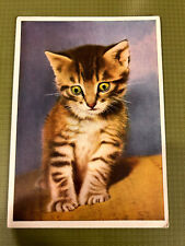 Postkarte kleine katze gebraucht kaufen  Köln