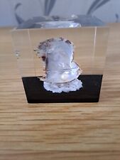 Oyster shell pearl for sale  MAIDSTONE