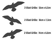 Fensterschutzvögel vogelaufkl gebraucht kaufen  Blenkendorf