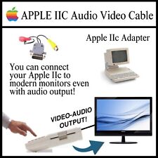 Apple iic audio usato  Italia