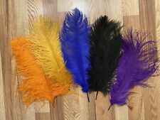 Lot Of Colored Feathers for sale  Shipping to South Africa