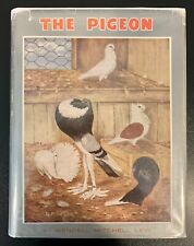 Pigeon wendell mitchell for sale  Fishers