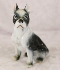 Unmarked boston terrier for sale  HOLSWORTHY