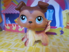 Used, Littlest pet shop Collie Dog #58 for sale  Shipping to Canada